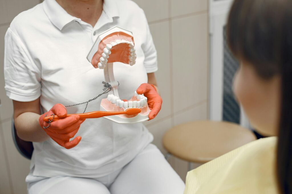 Dental professional demonstrating proper brushing technique with a teeth model.